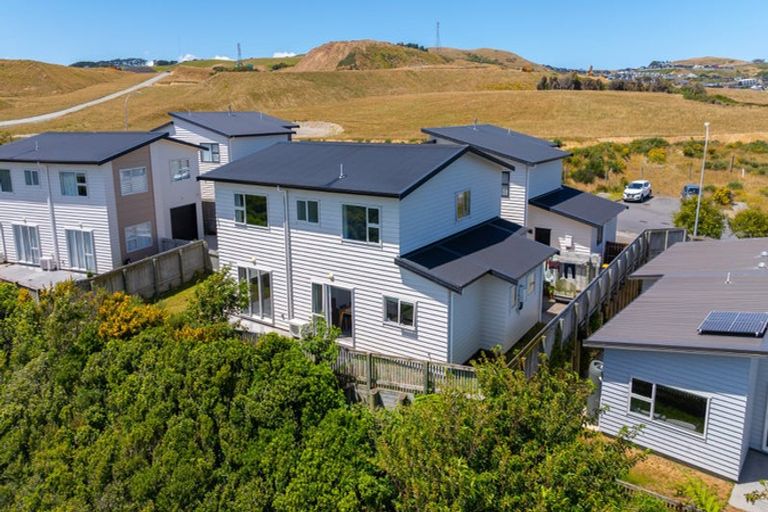 Photo of property in 12 Trelawny Terrace, Grenada Village, Wellington, 6037