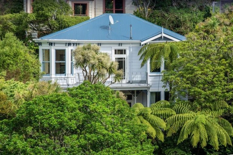 Photo of property in 17 Crieff Street, Northland, Wellington, 6012