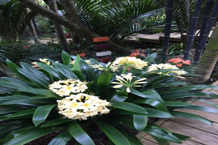 Photo of property in 567 South Titirangi Road, Titirangi, Auckland, 0604