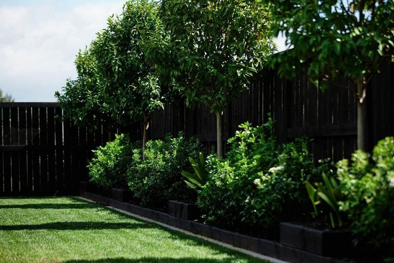 Photo of property in 71 Goodwin Crescent, Pyes Pa, Tauranga, 3112