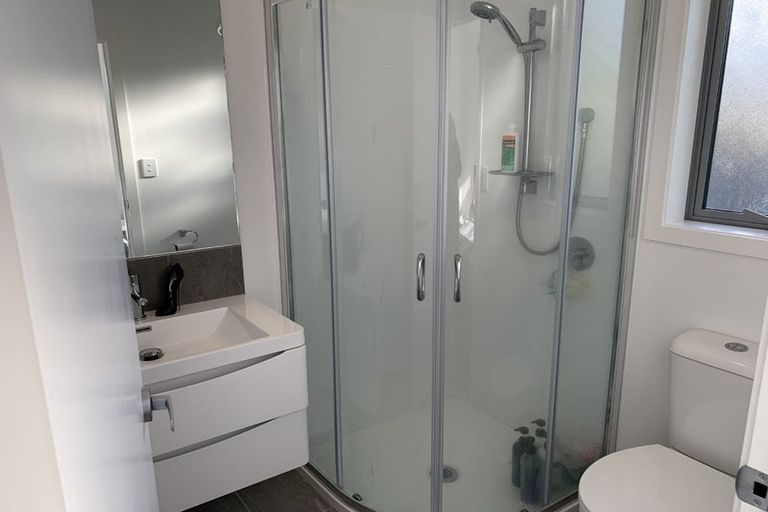 Photo of property in 35e Ross Crescent, Fairfield, Hamilton, 3214