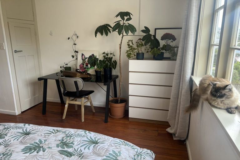 Photo of property in 25 Queen Street, Mount Victoria, Wellington, 6011