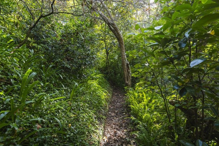 Photo of property in 38 Wallis Road, Kaiti, Gisborne, 4010