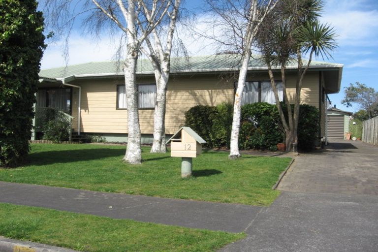 Photo of property in 12 Downes Avenue, Springvale, Whanganui, 4501