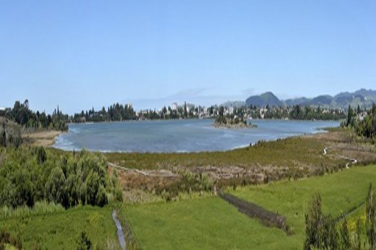 Photo of property in 244a Grange Road, Otumoetai, Tauranga, 3110