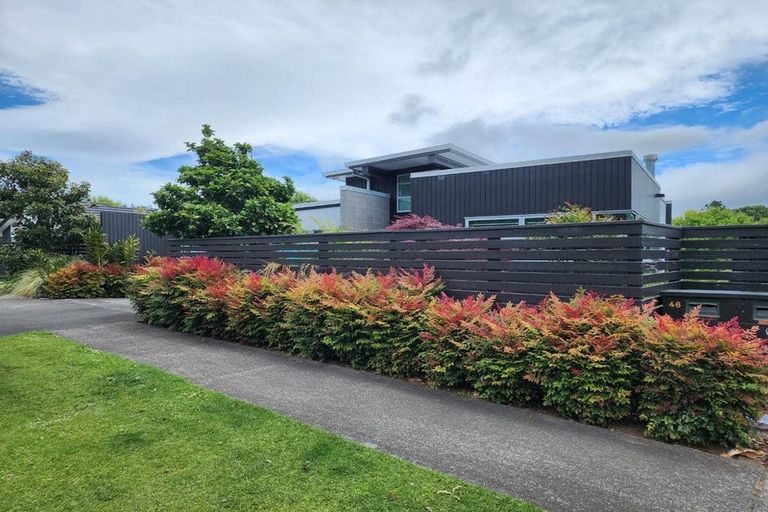 Photo of property in 46 Victoria Road, New Plymouth, 4310