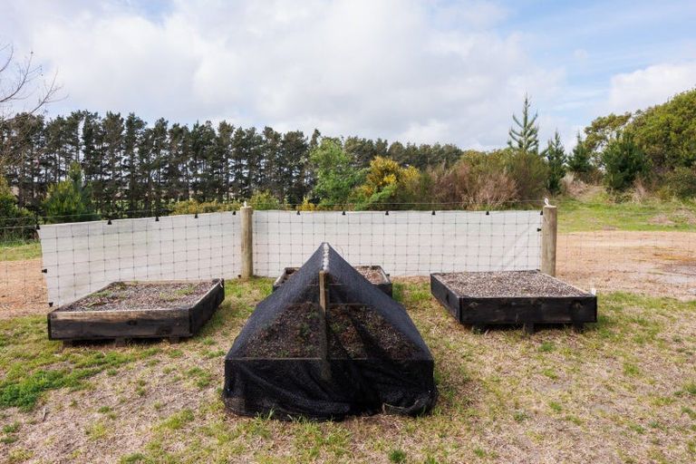 Photo of property in 545 Himatangi Beach Road, Himatangi Beach, Foxton, 4891