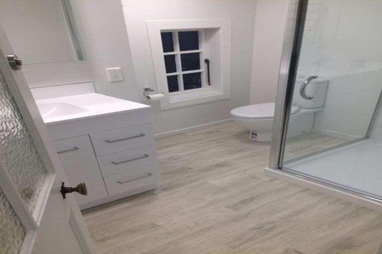 Photo of property in 7 Vine Street, Saint Marys Bay, Auckland, 1011