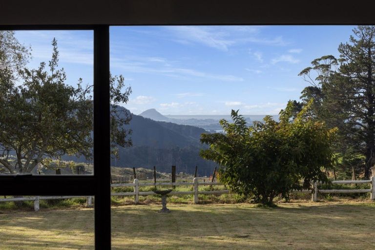 Photo of property in 588 Waitao Road, Waitao, Tauranga, 3175