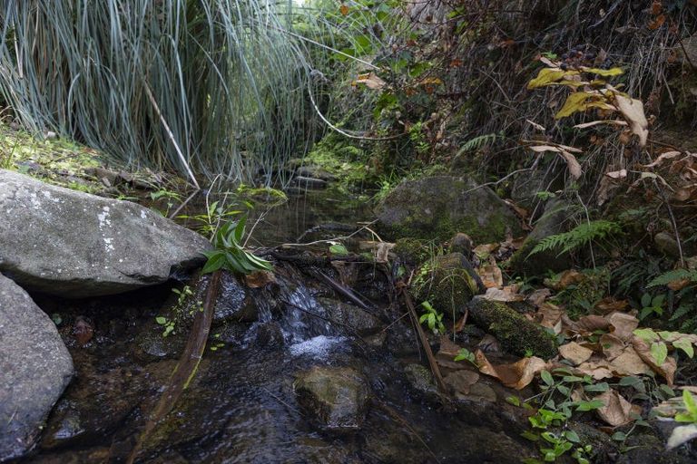 Photo of property in 39 Gangway Road, Totara North, Kaeo, 0479