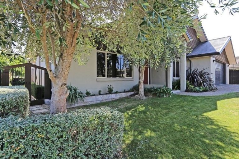 Photo of property in 9 Olive Grove, Havelock North, 4130