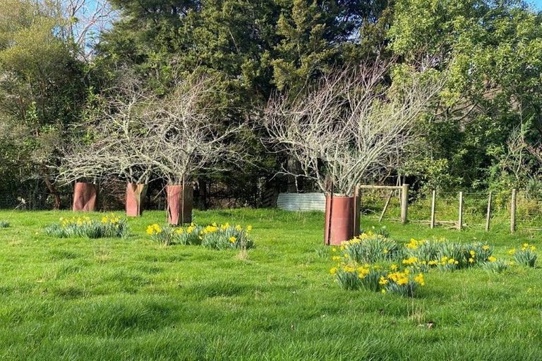 Photo of property in 35 Central Takaka Road, Takaka, 7183