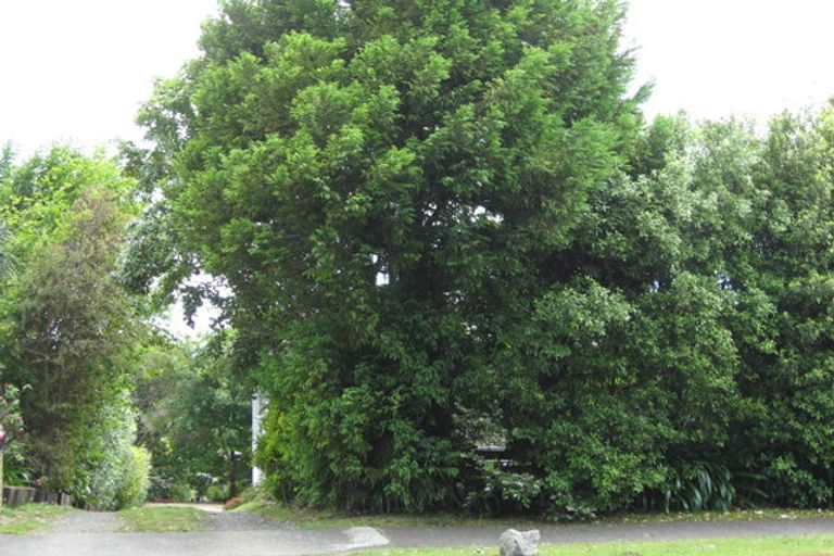 Photo of property in 22 Kennelly Crescent, Pukekohe, 2120