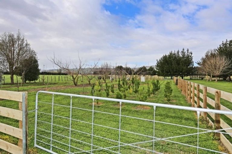 Photo of property in 729 Te Aute Road, Pakipaki, Hastings, 4172