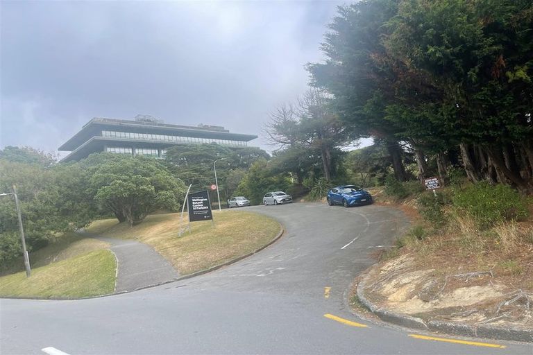 Photo of property in 59 Aurora Terrace, Hillcrest, Hamilton, 3216