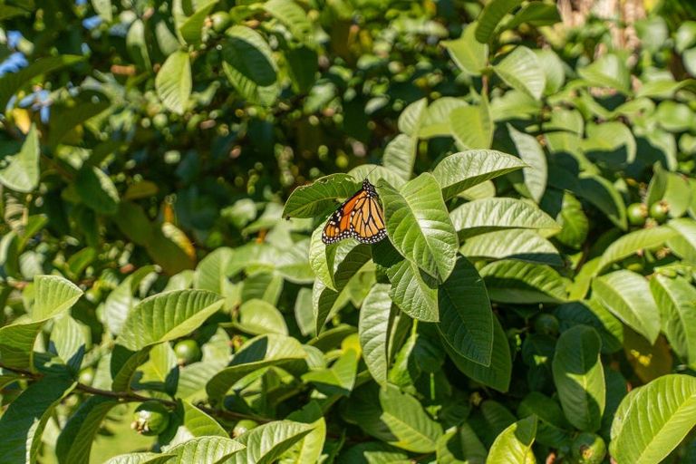 Photo of property in 78 Catherine Crescent, Whitianga, 3510