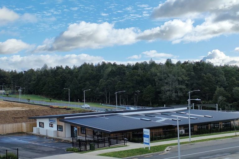 Photo of property in 21 Treeline Lane, Flat Bush, Auckland, 2019