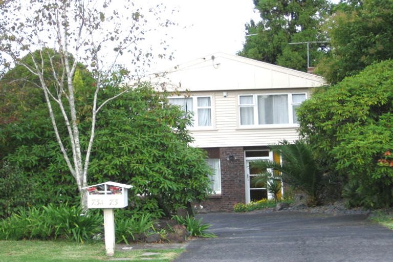 Photo of property in 73 Tiroroa Avenue, Te Atatu South, Auckland, 0610