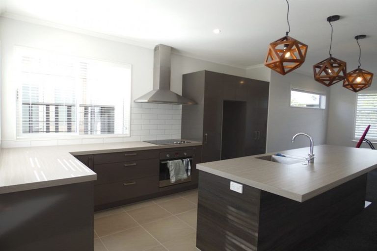 Photo of property in 9 Liquidambar Drive, Hobsonville, Auckland, 0616