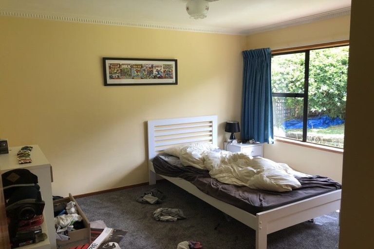 Photo of property in 197 Wade River Road, Wade Heads, Whangaparaoa, 0932