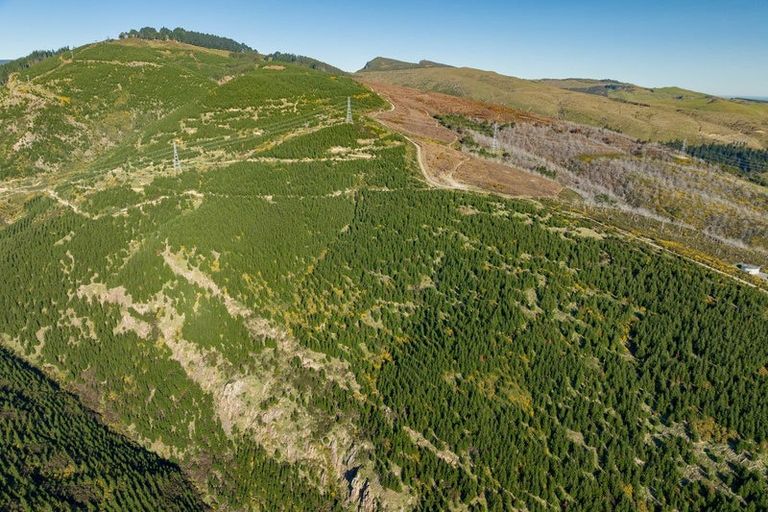 Photo of property in 361 Worsleys Road, Cashmere, Christchurch, 8022