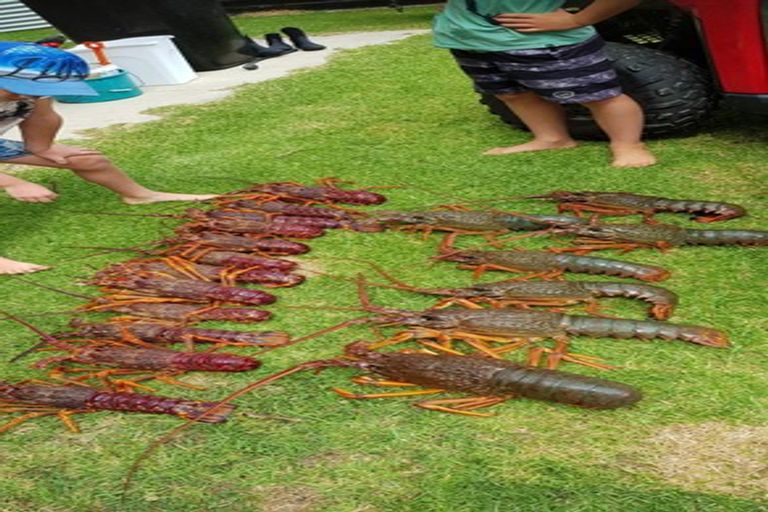 Photo of property in 88 Opito Bay Road, Opito Bay, Whitianga, 3592