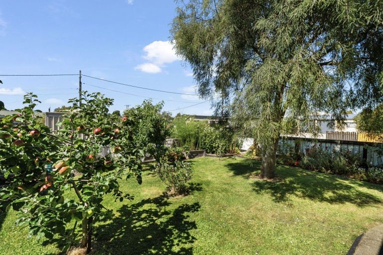Photo of property in 110 Beach Street, Waikouaiti, 9510