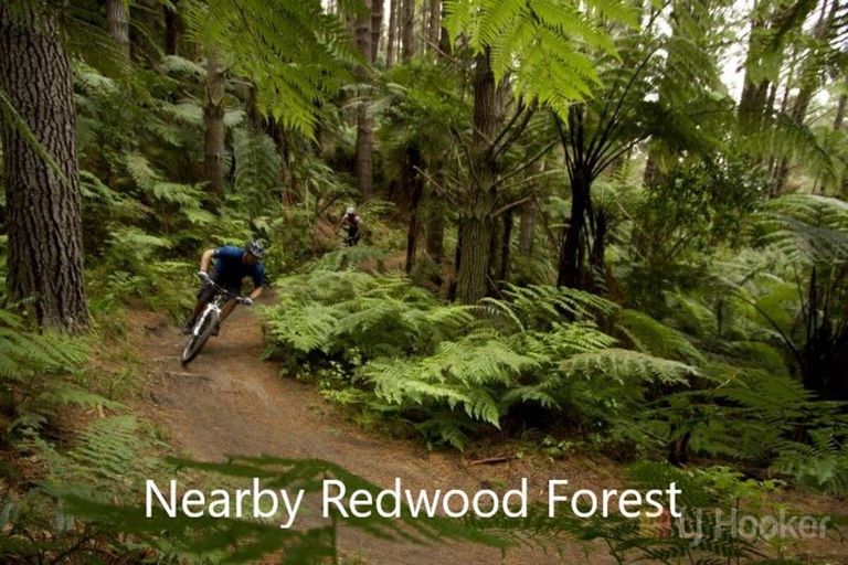 Photo of property in 58a Lynmore Avenue, Lynmore, Rotorua, 3010