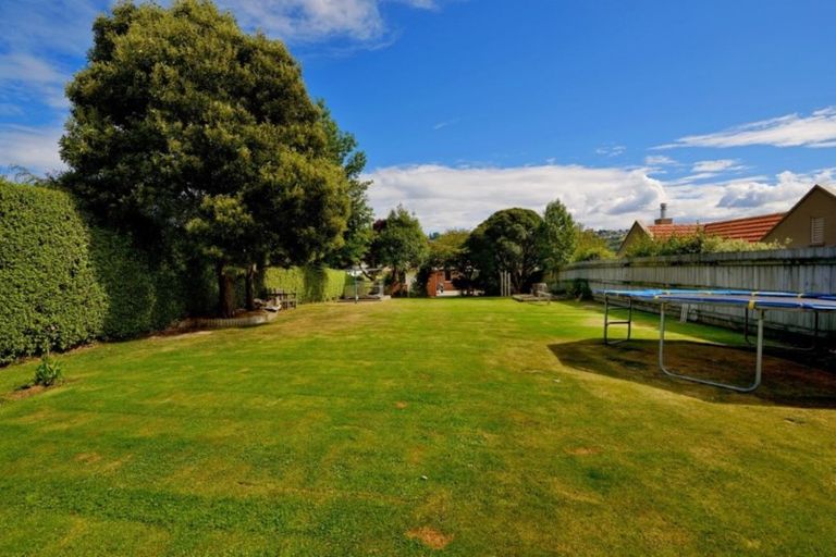 Photo of property in 101 Kenmure Road, Belleknowes, Dunedin, 9011