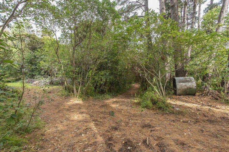 Photo of property in 63 Leinster Avenue, Raumati South, Paraparaumu, 5032