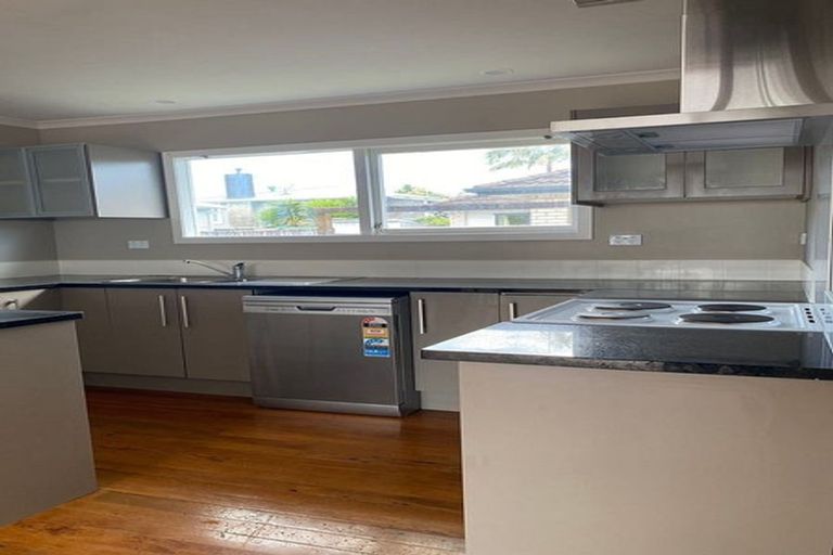 Photo of property in 49a Bruce Mclaren Road, Henderson, Auckland, 0612