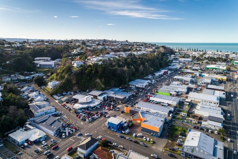 Photo of property in 10 Faraday Street, Hospital Hill, Napier, 4110