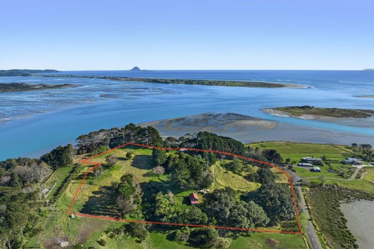 Photo of property in 107 Ohiwa Loop Road, Waiotahe, Opotiki, 3198