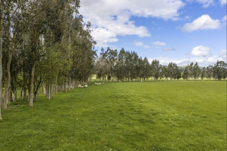 Photo of property in 1020 Te Aute Trust Road, Poukawa, Hastings, 4178
