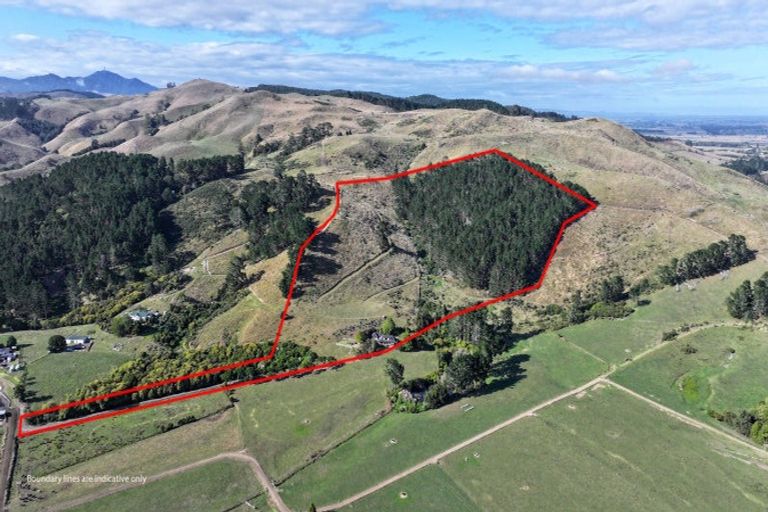 Photo of property in 183b Thorp Road, Paeroa, 3673