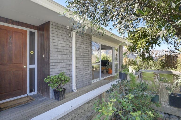 Photo of property in 2/19 Sixth Avenue, Tauranga, 3110