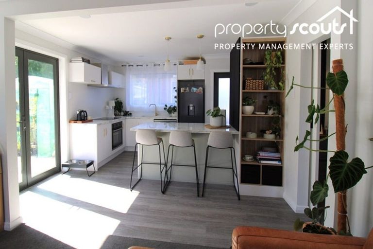 Photo of property in 111 Norwood Street, Normanby, Dunedin, 9010