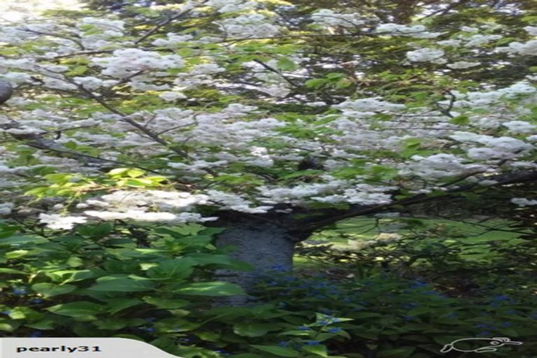 Photo of property in 4 Deans Road, Winton, 9782