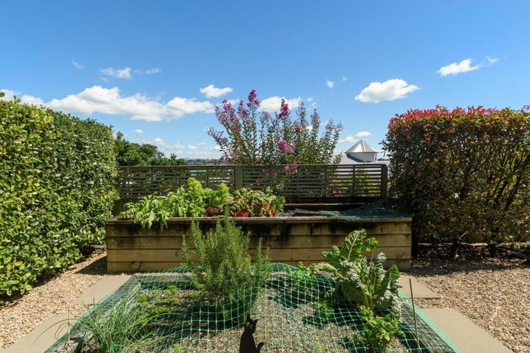 Photo of property in 5 Edgecumbe Road, Tauranga, 3110