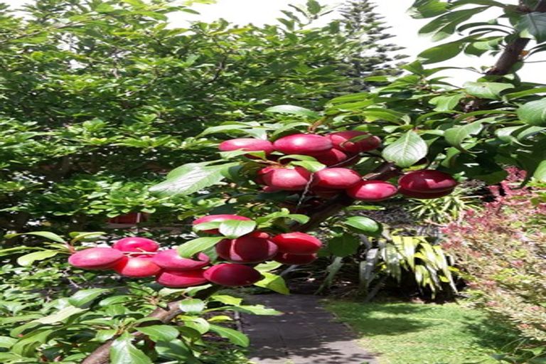 Photo of property in 64 Dale Road, Raumati South, Paraparaumu, 5032