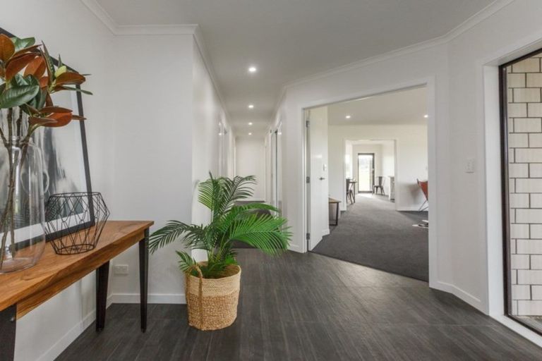 Photo of property in 175 Spur Road West, Colyton, Feilding, 4775