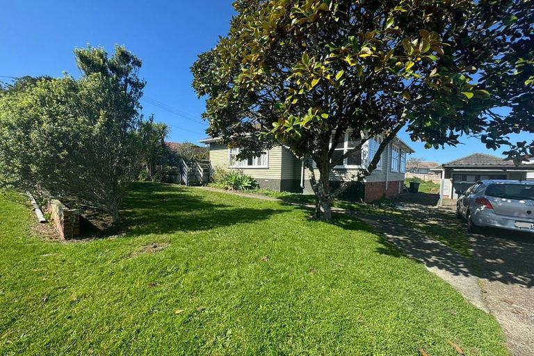 Photo of property in 38 Boyce Avenue, Mount Roskill, Auckland, 1041