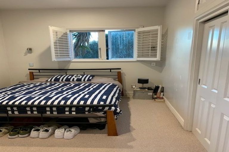 Photo of property in 3 Alexander Street, Kingsland, Auckland, 1021