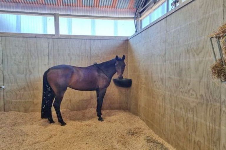 Photo of property in 475 Ellesmere Road, Lincoln, Christchurch, 7672