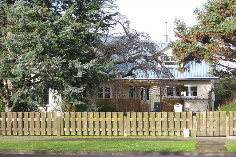 Photo of property in 480 Ruahine Street, Terrace End, Palmerston North, 4410