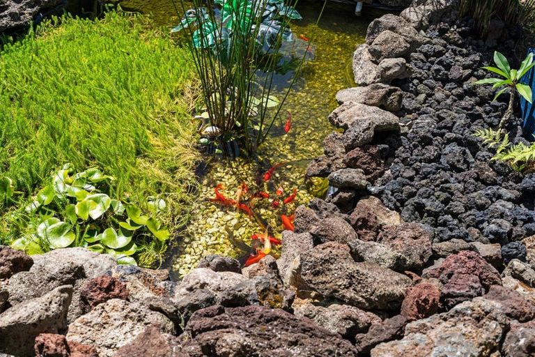 Photo of property in 15 Guy Road, Kaikohe, 0405