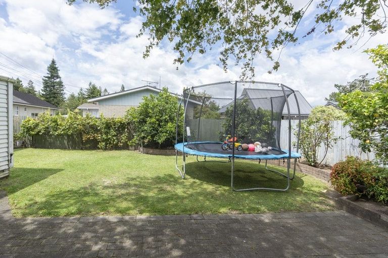 Photo of property in 3 Darley Street, Maeroa, Hamilton, 3200