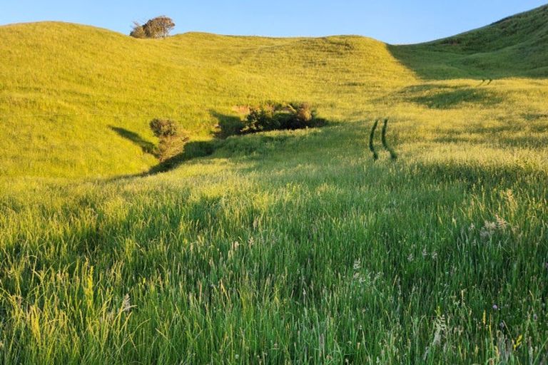 Photo of property in 964 Tarata Road, Kaimata, 4387