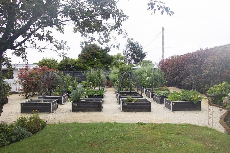 Photo of property in 61 Terou Street, Manaia, 4612