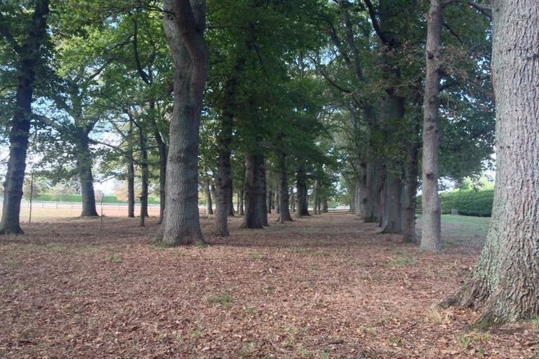 Photo of property in 3 Royal Oaks Lane, Newstead, Hamilton, 3286